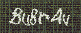 CAPTCHA_picture