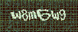 CAPTCHA_picture
