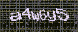 CAPTCHA_picture