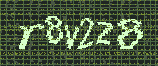 CAPTCHA_picture