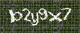 CAPTCHA_picture