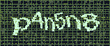 CAPTCHA_picture